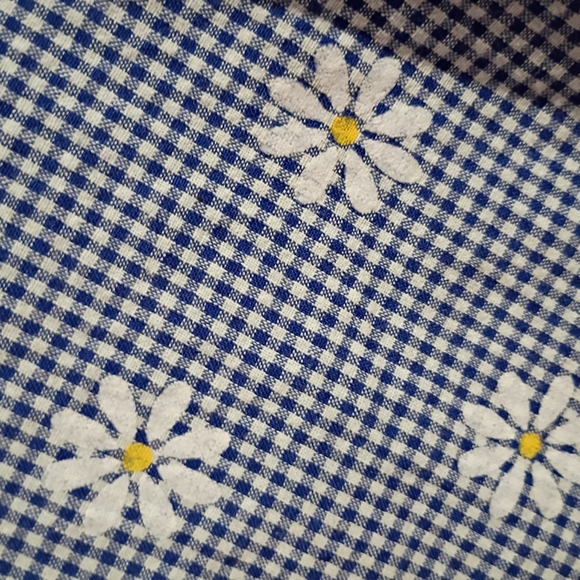 Shein Xs Blue Gingham Skirt with Daisy Print 🌻 - Picture 5 of 5